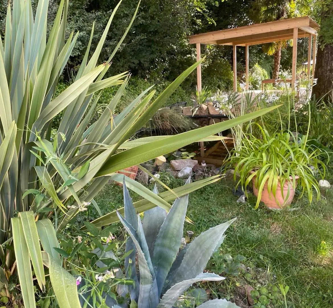 Les Agapanthes Bed & Breakfast Vaux-en-Beaujolais France