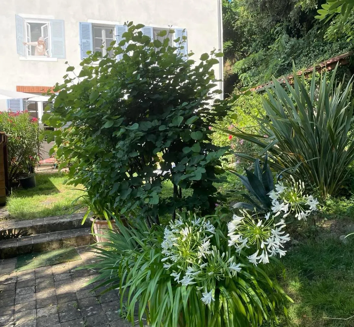 Les Agapanthes Bed & Breakfast Vaux-en-Beaujolais