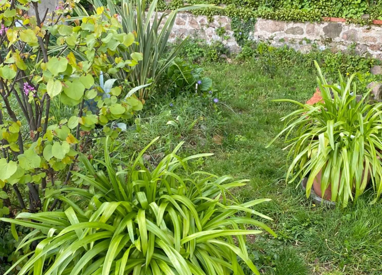 Les Agapanthes Bed & Breakfast Vaux-en-Beaujolais