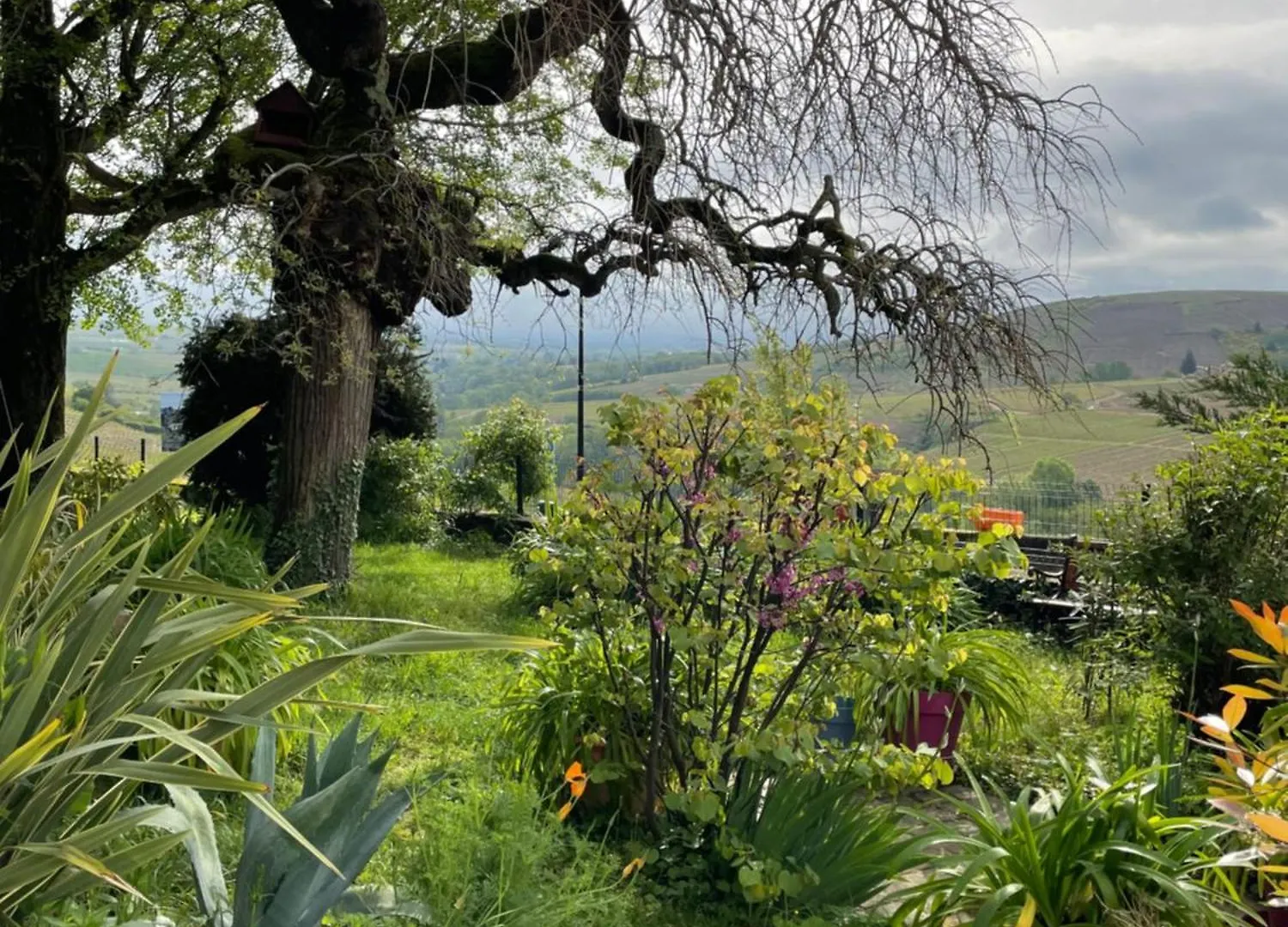 Les Agapanthes Bed & Breakfast Vaux-en-Beaujolais