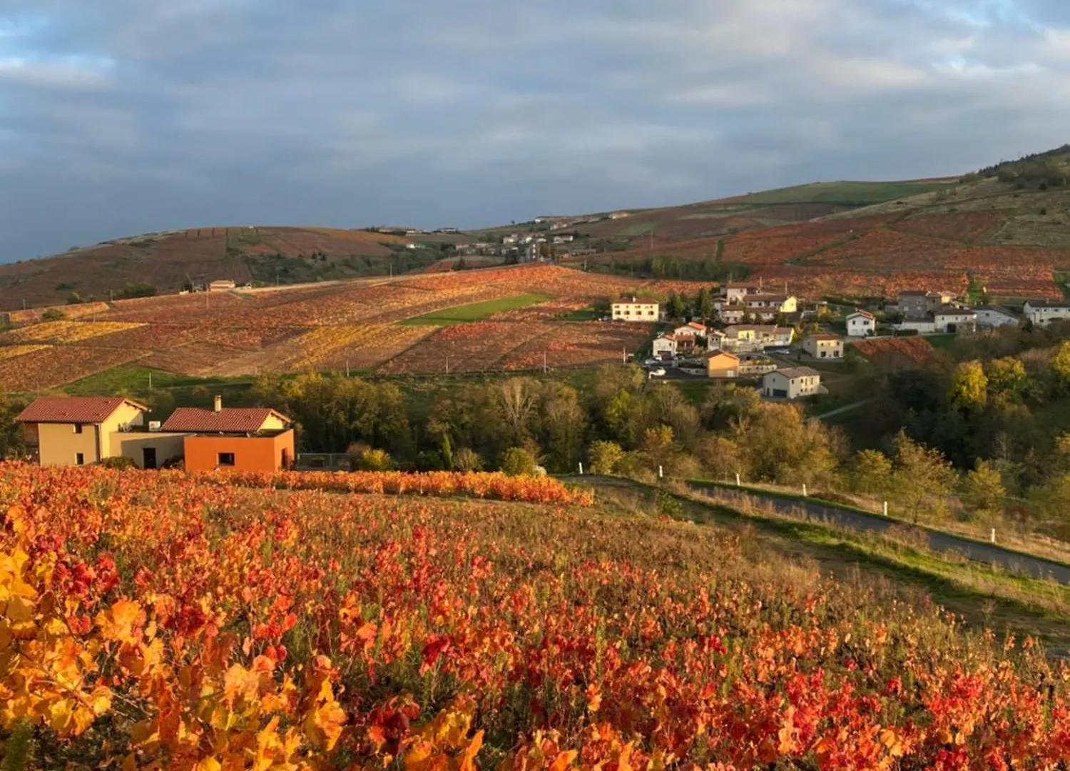 Les Agapanthes Bed & Breakfast Vaux-en-Beaujolais France