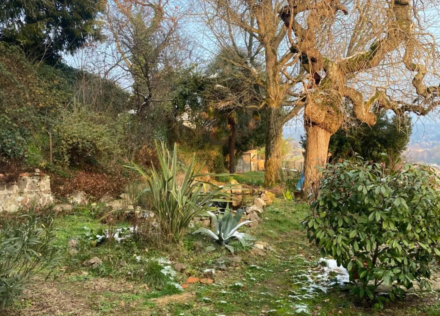 Les Agapanthes Bed & Breakfast Vaux-en-Beaujolais France
